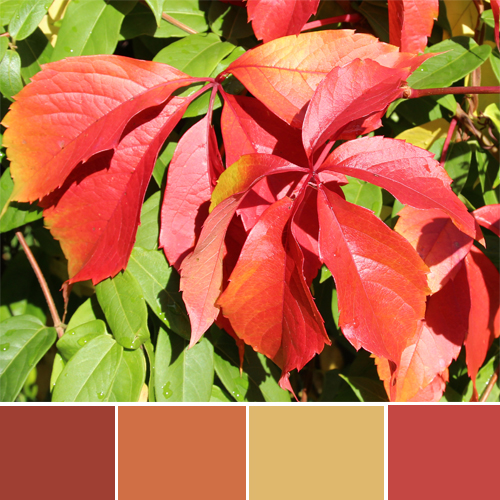 Stimmung-Herbst-Herbstfarben