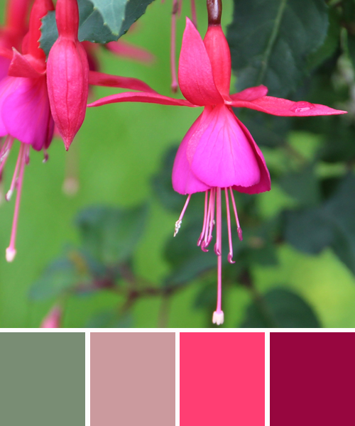 farbinspirationen-natur-fuchsien-pink-lila