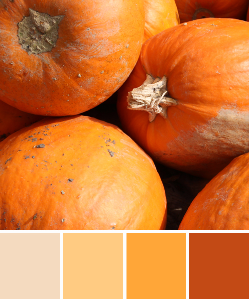 farbinspirationen-natur-herbstfarben-kuerbis-orange
