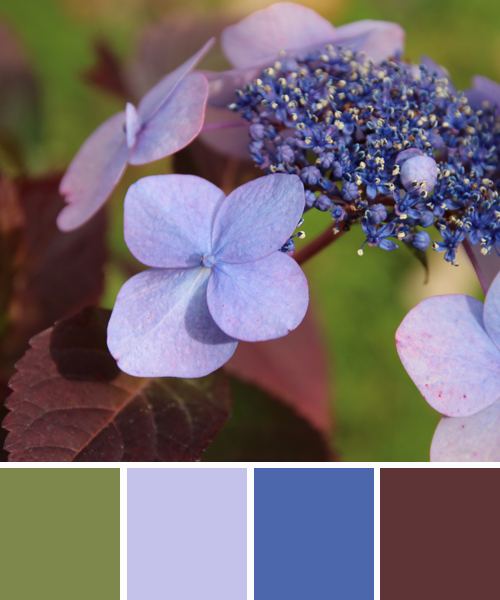 Lila, farbenergie Wohnzimmer farbe aubergine
