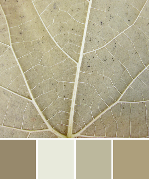 farbinspirationen-natur-herbstfarben-grau-beige