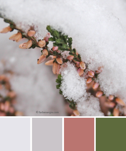 farbinspirationen-natur-Schnee-erika