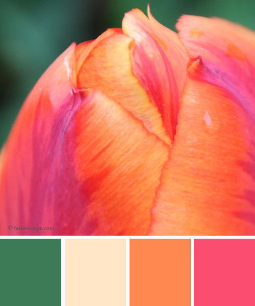 farbinspirationen-Fruehlingsgruen-Orange-Pink-