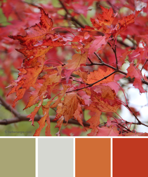 farbinspirationen-Herbstfarben-Orange-rot
