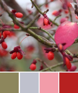 farbinspirationen-Herbstfarben-gruen-rosa