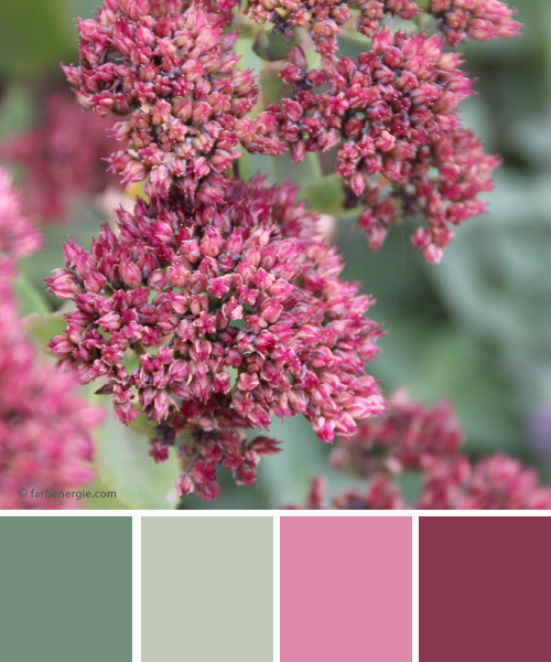 farbinspirationen-Herbstfarben-gruen-rose