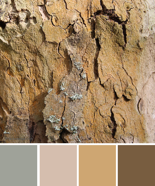 farbinspirationen-naturtoene-beige-braun-sand