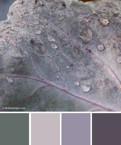 farbinspirationen-naturtoene-Blaukraut-Grau-violett