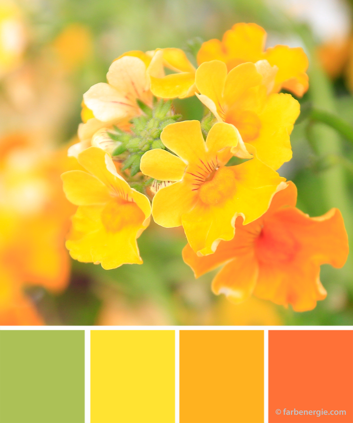 farbinspirationen-gelb-fruehling-Osterfarben