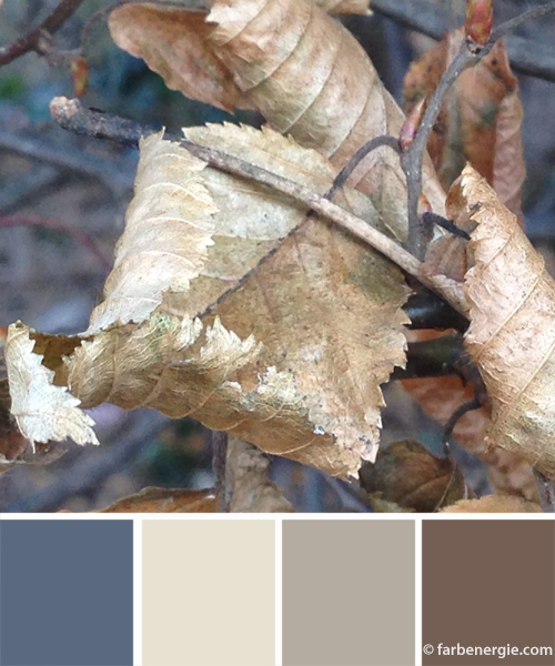 farbinspirationen-winter-buchenlaub-beige-braun-naturfarben