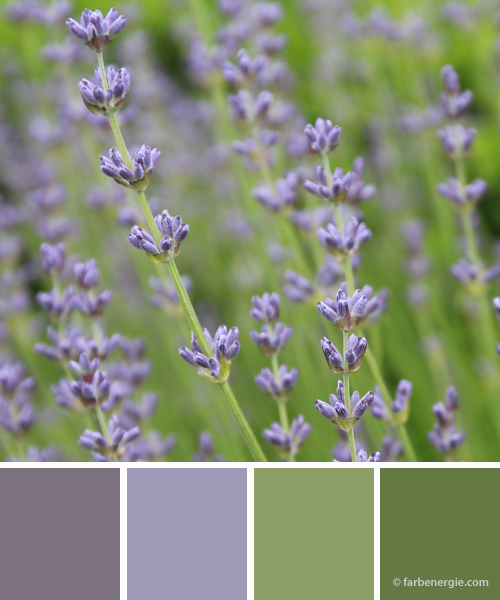farbinspirationen-sommer-lavendel-gruen