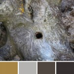 farbinspirationen-Holz-Farben