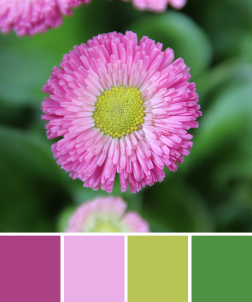 farbinspirationen-Fruehling-Gruen-rosa
