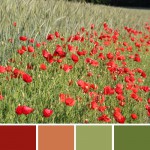 farbinspirationen-gruen-natur-mohn-rot