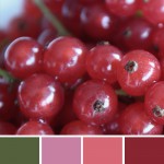 farbinspirationen-Beerentoene-johannisbeeren-pink-rot1