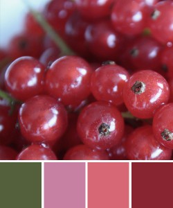 farbinspirationen-Beerentoene-johannisbeeren-pink-rot1