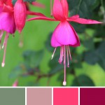 farbinspirationen-natur-fuchsien-pink-lila