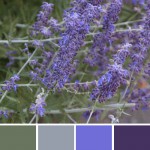 farbinspirationen-lavendel-gruen