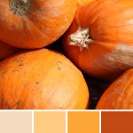 farbinspirationen-natur-herbstfarben-kuerbis-orange