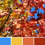 farbinspirationen-natur-herbstfarben-rot-blau