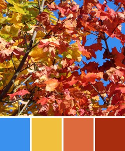 farbinspirationen-natur-herbstfarben-rot-blau