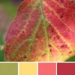 farbinspirationen-natur-herbstfarben-rot-gruen