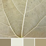 farbinspirationen-natur-herbstfarben-grau-beige