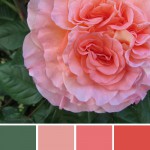 farbinspirationen-Gruen-Rose-Apricot