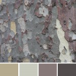 farbinspirationen-Neutrale-Farben-beige-braun-grau