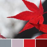 farbinspirationen-Herbst-Rot-Grau-