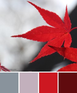 farbinspirationen-Herbst-Rot-Grau-
