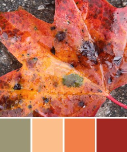 farbinspirationen-natur-laub-rot-orange