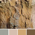 farbinspirationen-naturtoene-beige-braun-sand