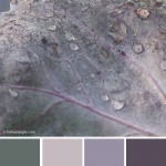 farbinspirationen-naturtoene-Blaukraut-Grau-violett