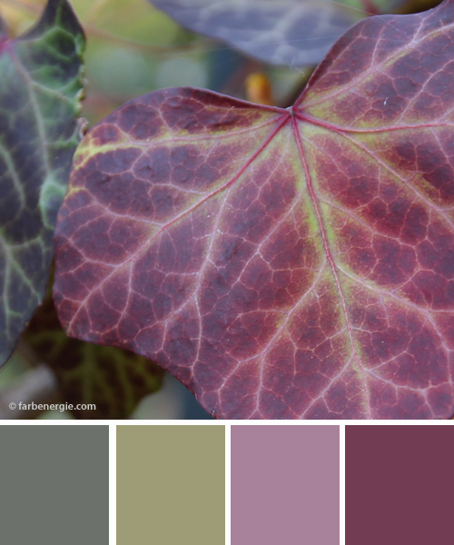 farbinspirationen-naturtoene-Efeu-Gruen-violett