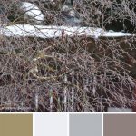 farbinspirationen-Winter-Baum-weiss