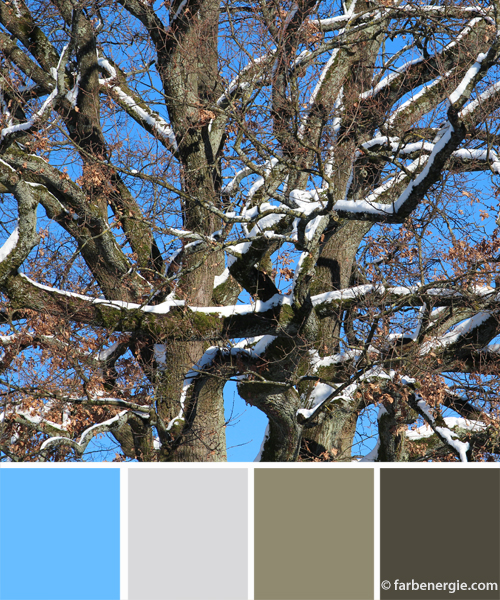 farbinspirationen-Winter-Eiche-weiss-blau-blaun