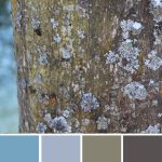 farbinspirationen-Winter-flechte-braun-blau-grau