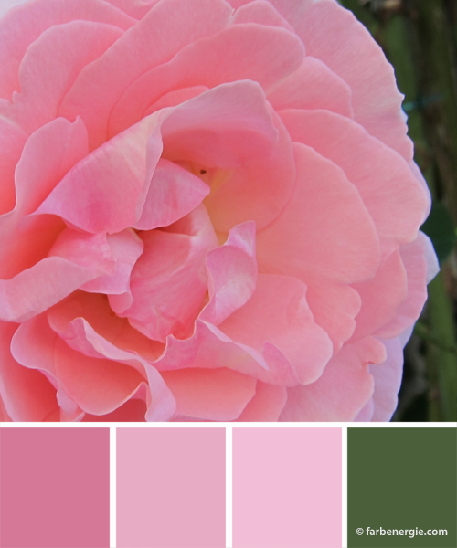 farbinspirationen-gruen-pink-rosa-rose