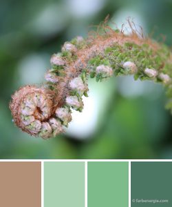 Farbinspirationen