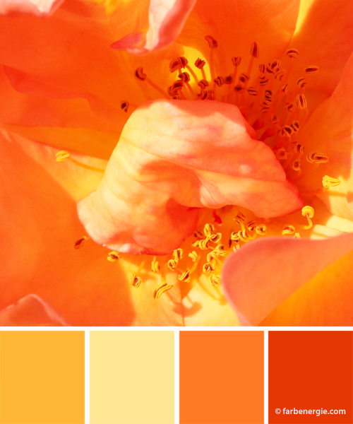 Farbinspirationen-Orange-Sonnengelb