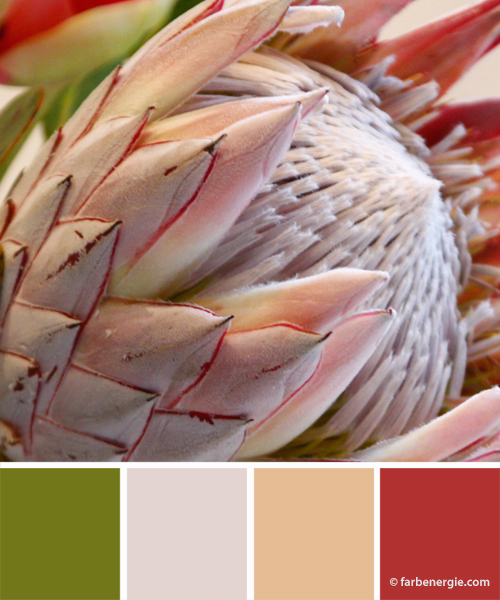 Farbinspirationen-Tomatenrot-Beige-Greige-Moosgruen